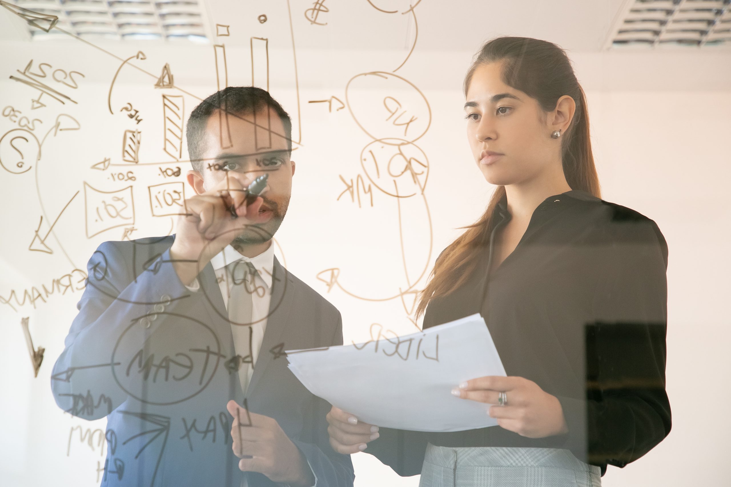 What does APM mean in project management
