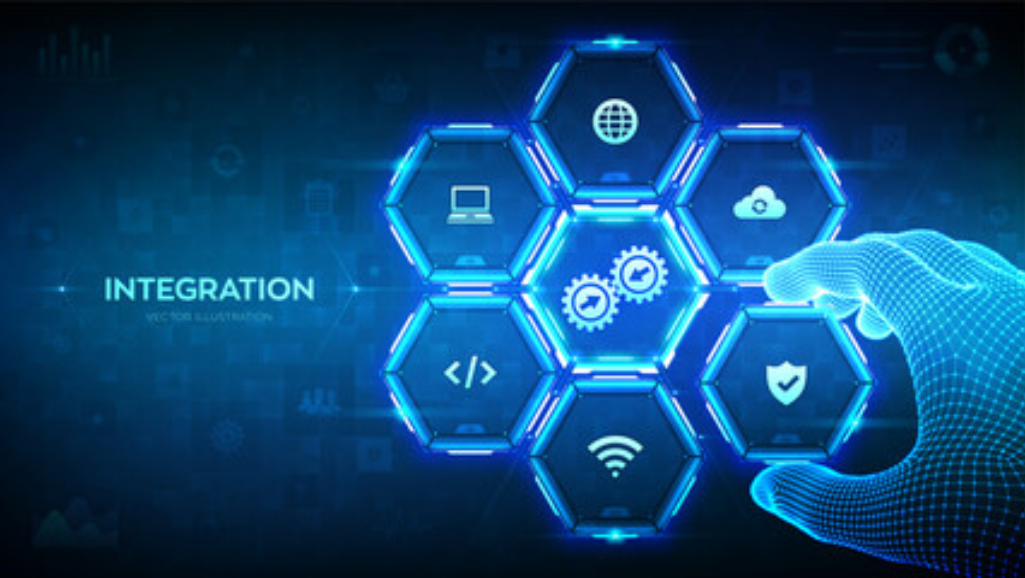 What is a business process integration